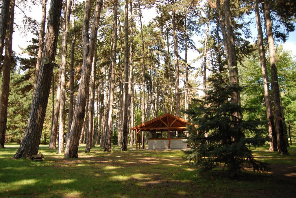 Hotel Villa Majur Суботица Экстерьер фото